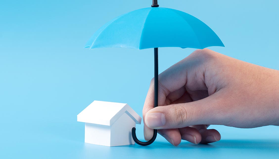 Insurance-risks